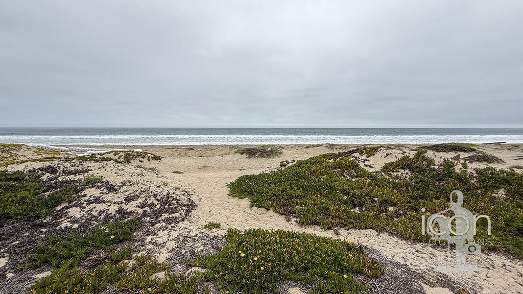 Beach House - BH3122
