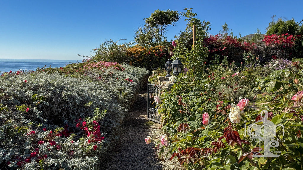 Beach House - BH3124