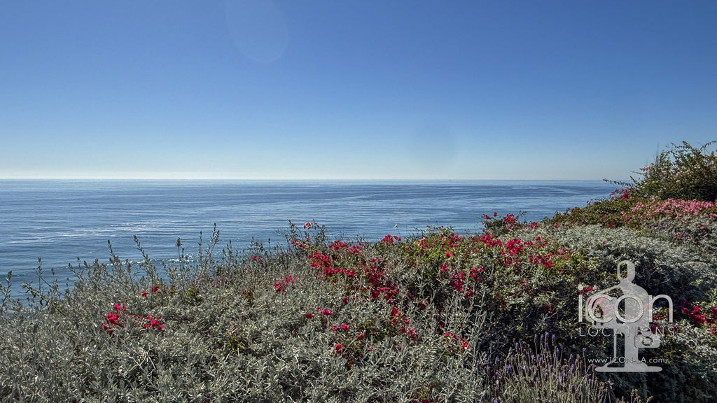 Beach House - BH3124