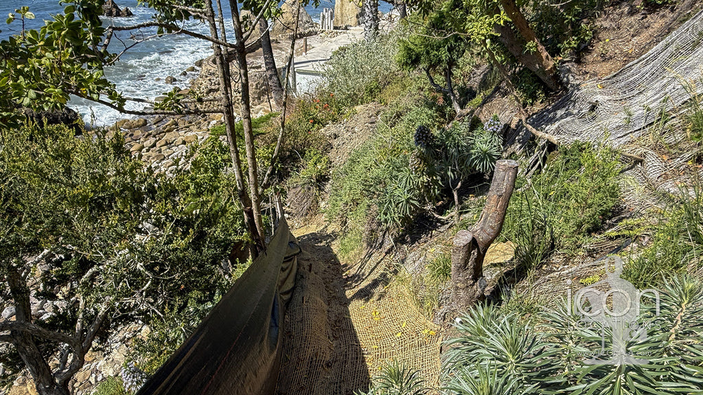 Beach House - BH3125