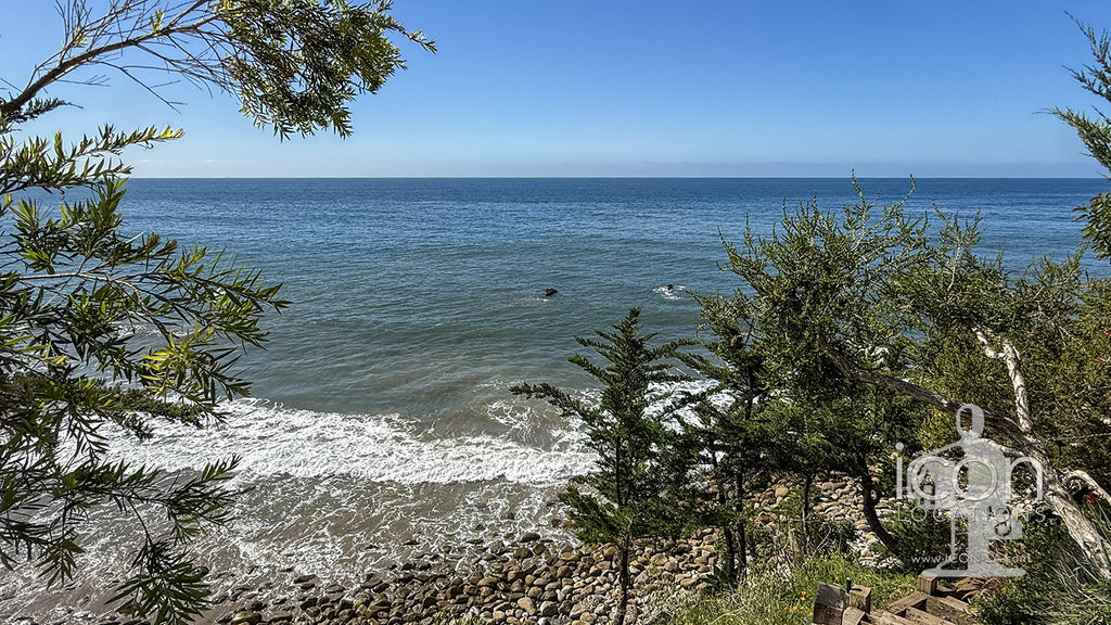 Beach House - BH3125