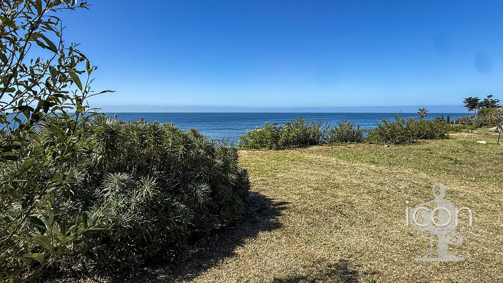 Beach House - BH3125