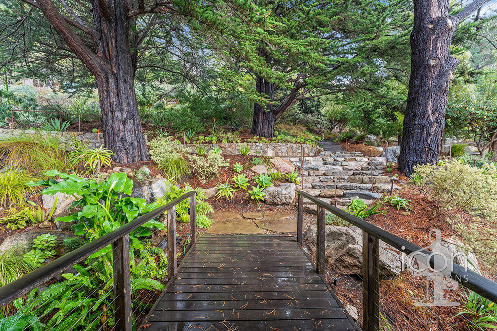 Ocean Bluff  - BH3126-BigSur