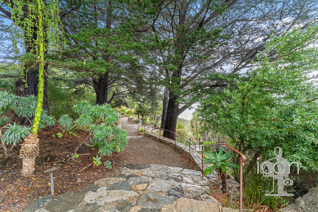 Ocean Bluff  - BH3126-BigSur