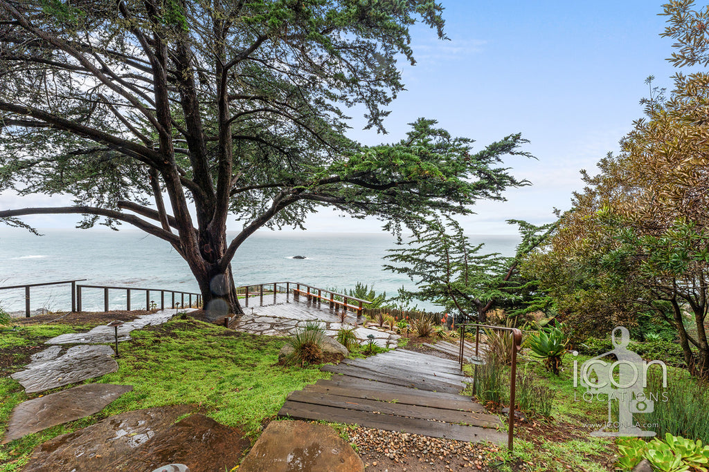 Ocean Bluff  - BH3126-BigSur