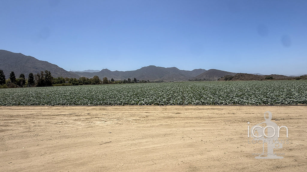 Farm - FARM2001