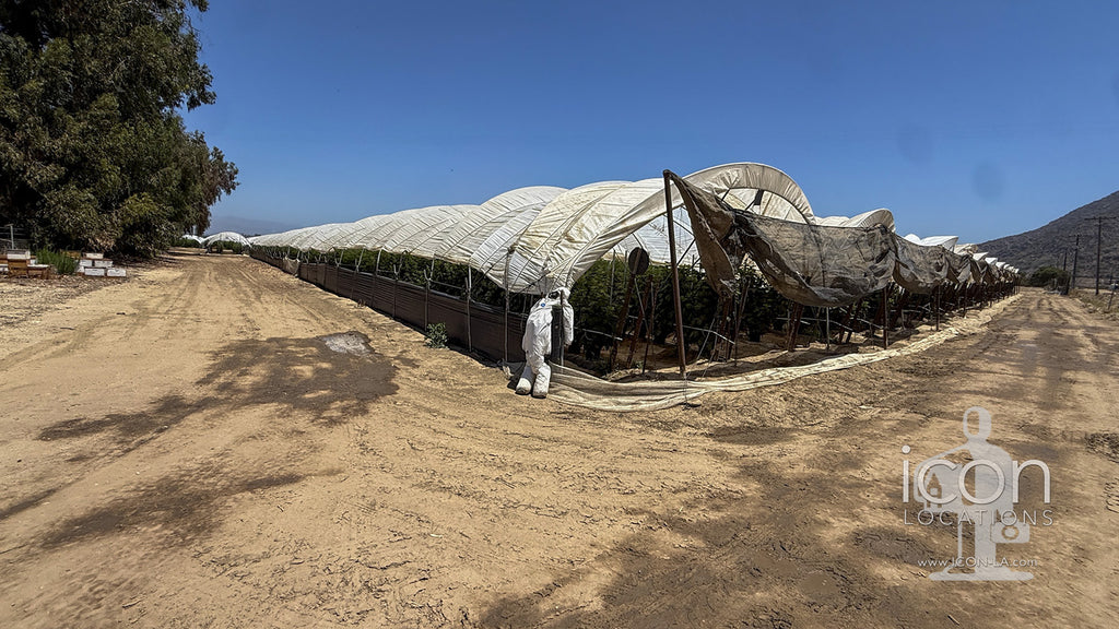 Farm - FARM2001