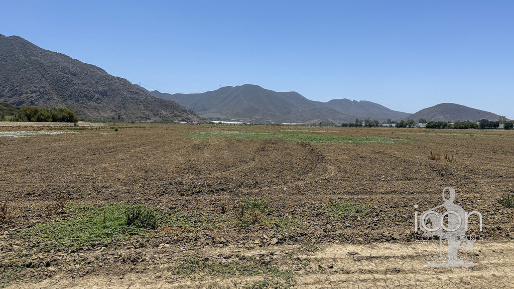 Farm - FARM2001