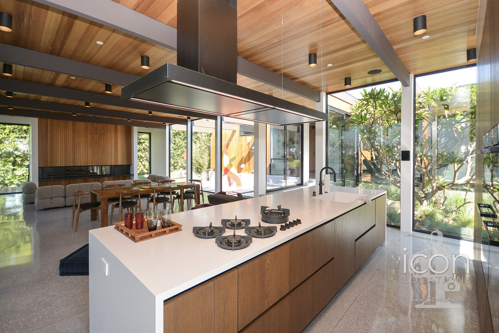 Mid Century Glass House - MID2087