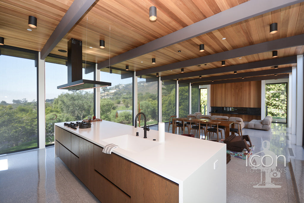 Mid Century Glass House - MID2087