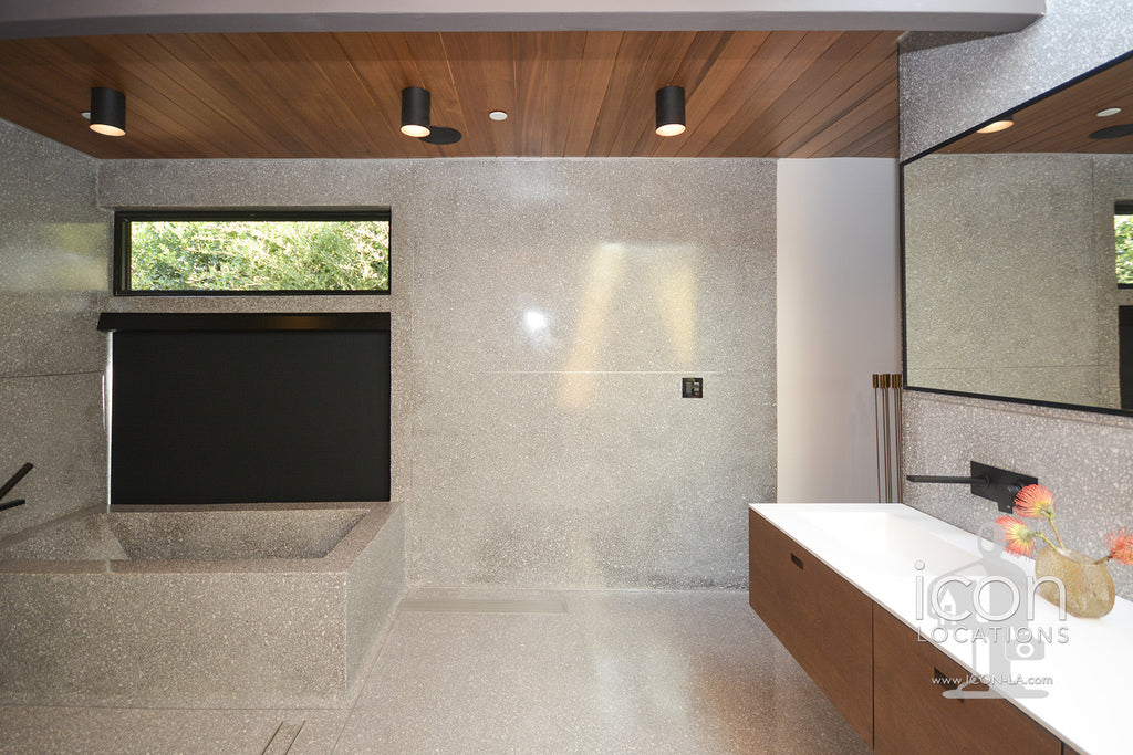 Mid Century Glass House - MID2087