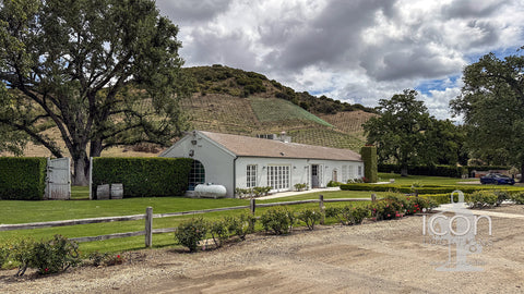 Vineyard - RA3068