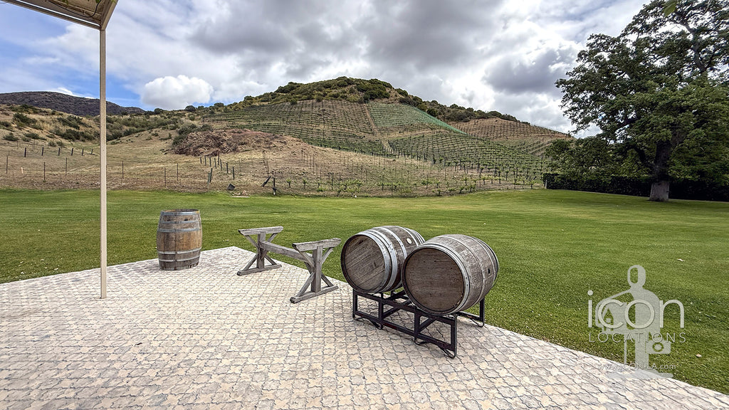 Vineyard - RA3068