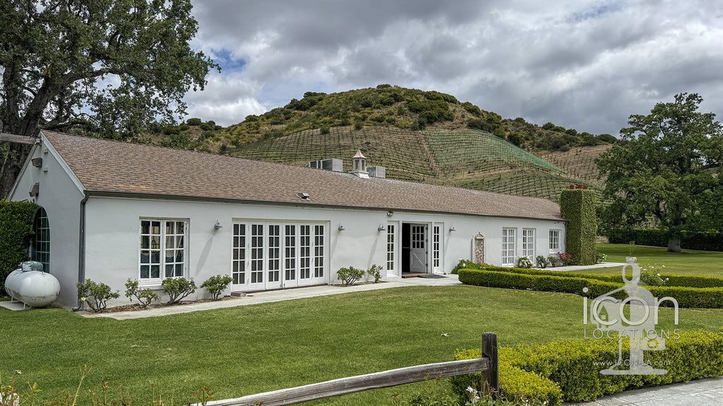 Vineyard - RA3068