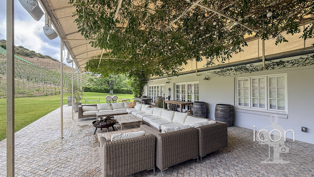 Vineyard - RA3068