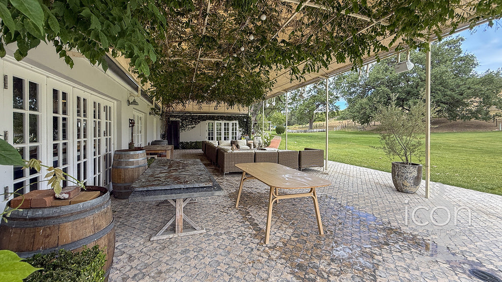 Vineyard - RA3068