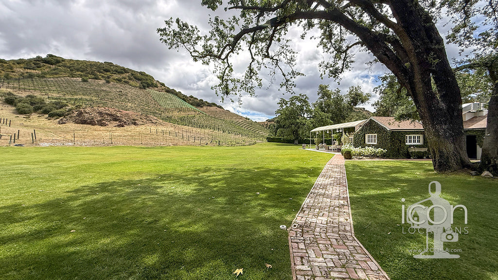 Vineyard - RA3068