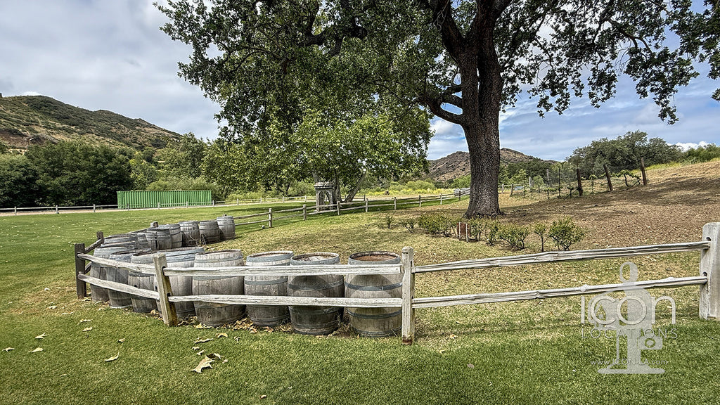 Vineyard - RA3068
