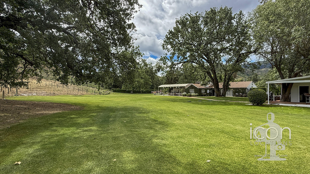 Vineyard - RA3068
