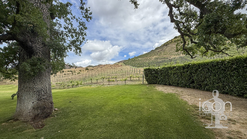 Vineyard - RA3068