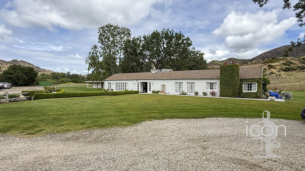 Vineyard - RA3068