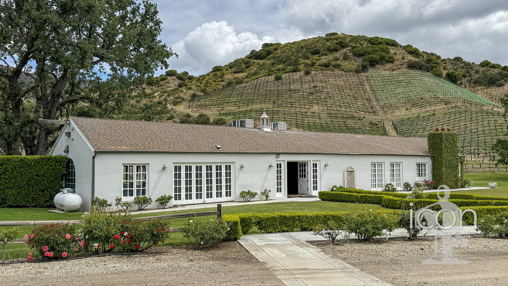 Vineyard - RA3068