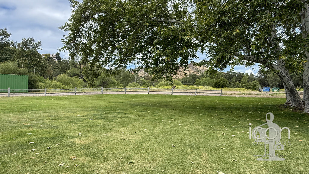 Vineyard - RA3068