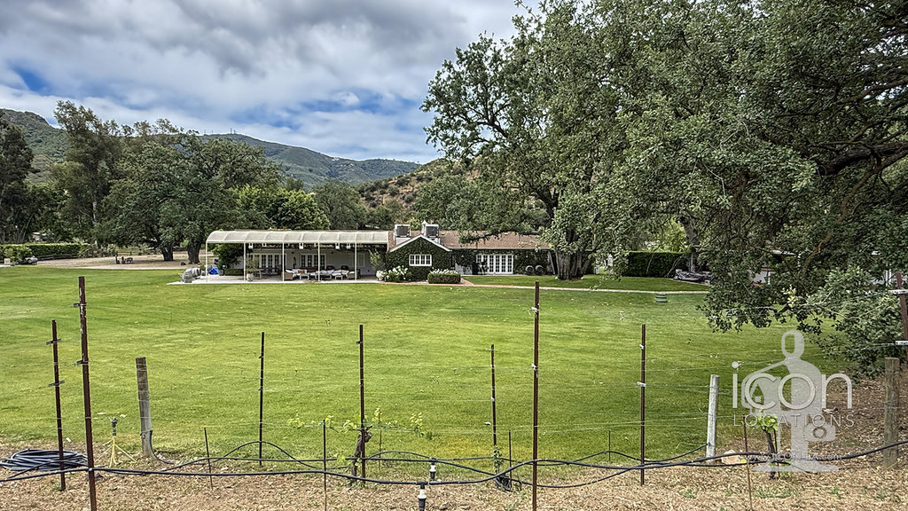 Vineyard - RA3068