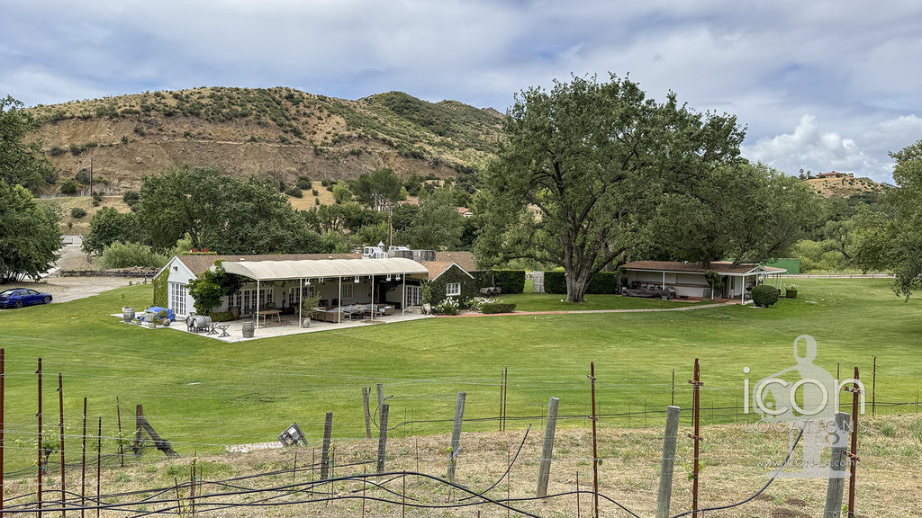 Vineyard - RA3068