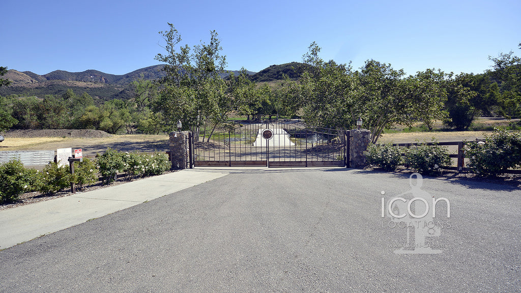 Vineyard - RA3068
