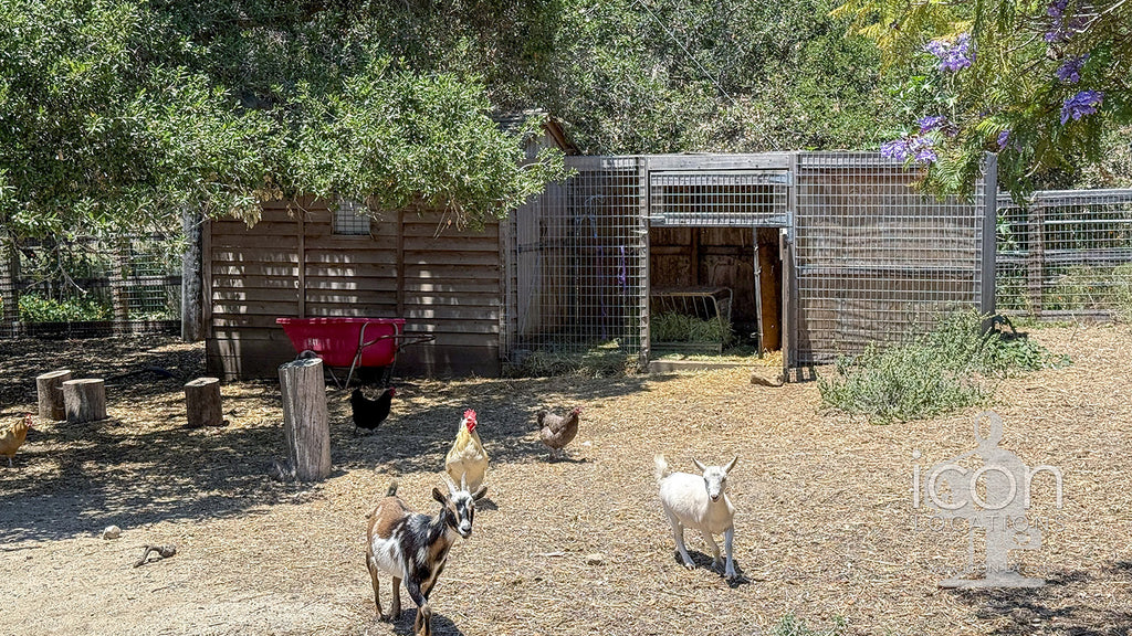 Ranch / Farm - RA3119b