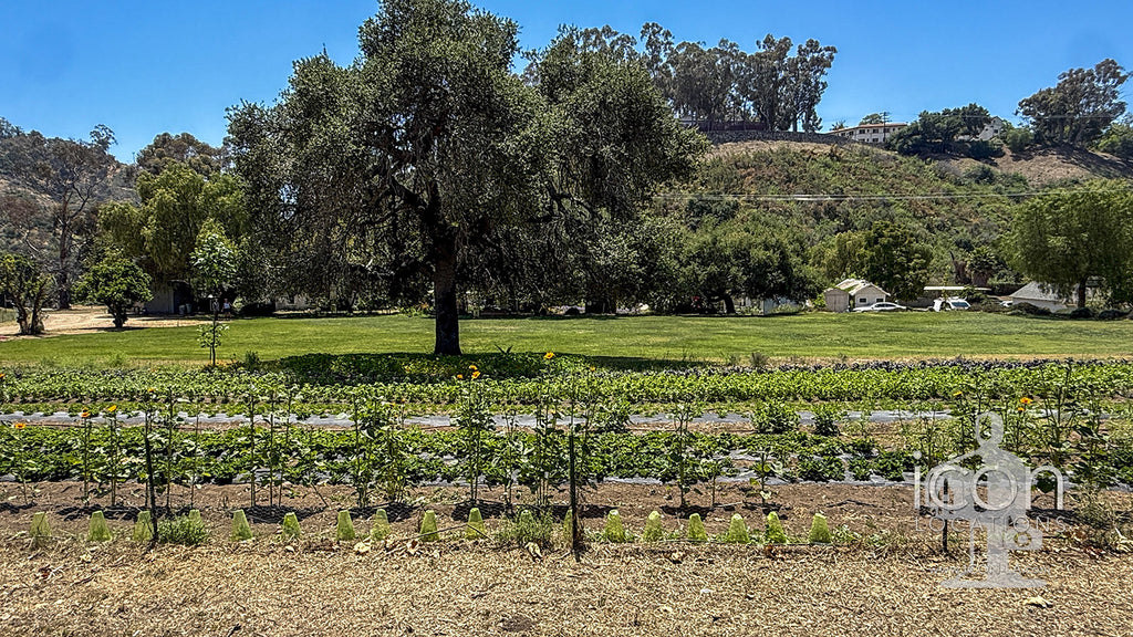 Ranch / Farm - RA3119b
