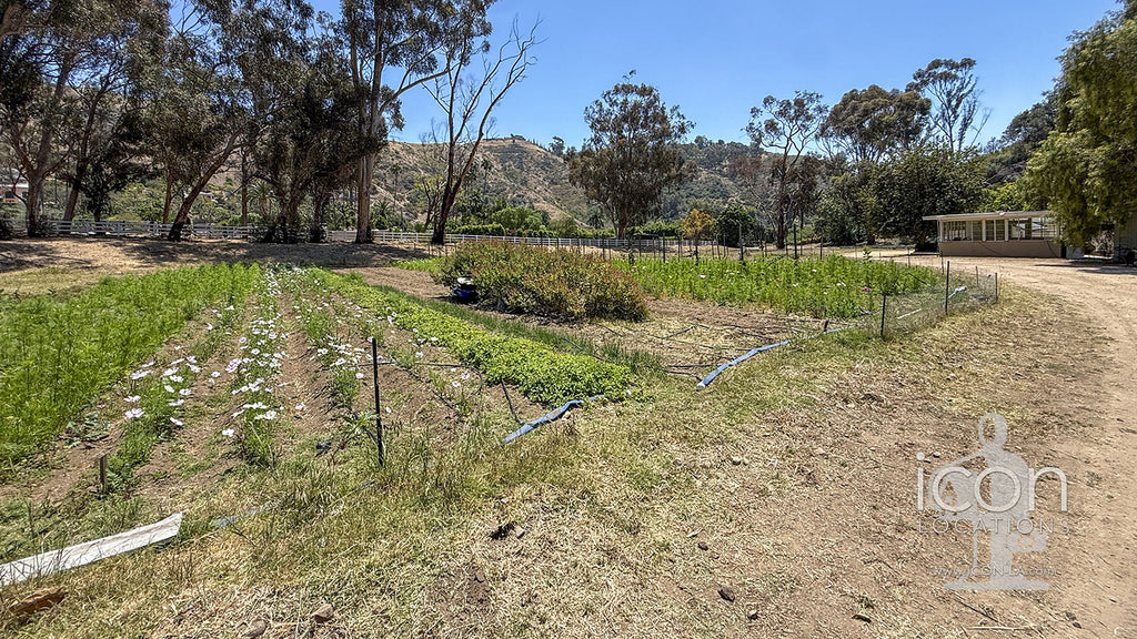 Ranch / Farm - RA3119b