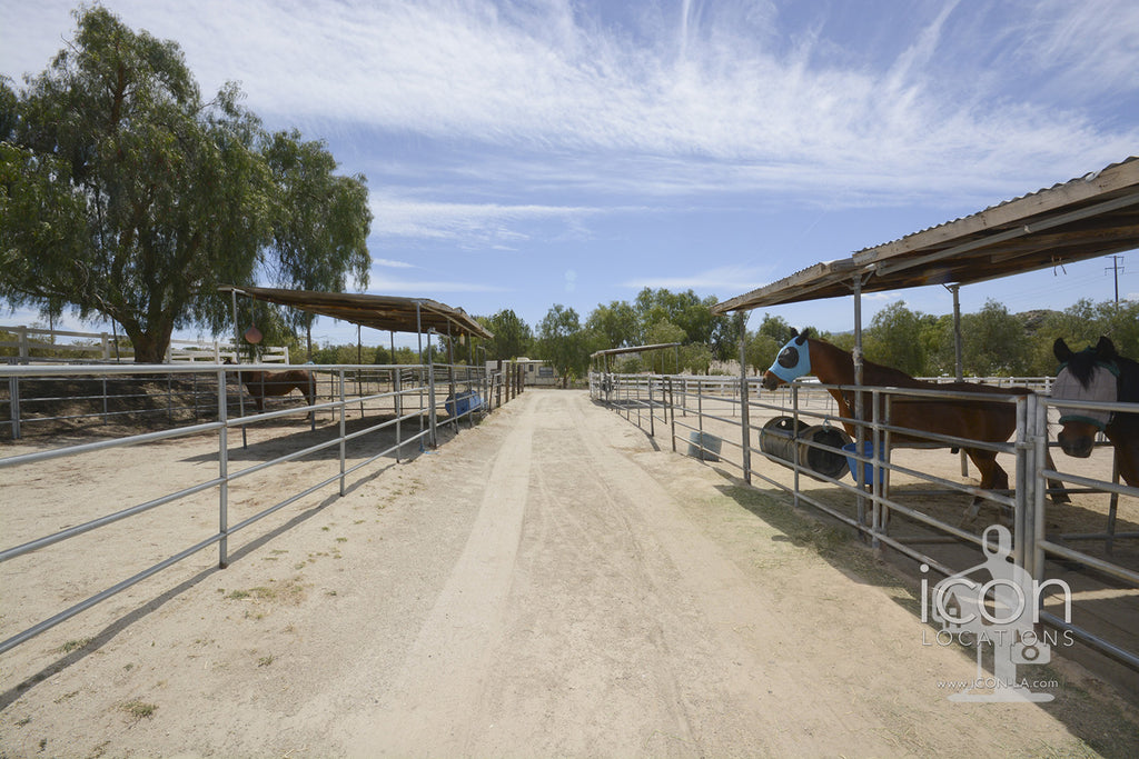 Ranch - RA3143