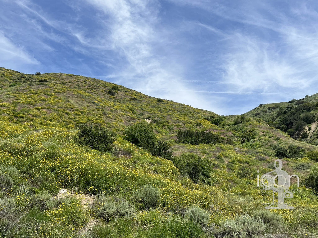 Gas Station / Small Town Shops /Open Land - RA3164