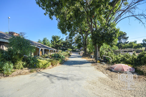 Horse Ranch - RA3167