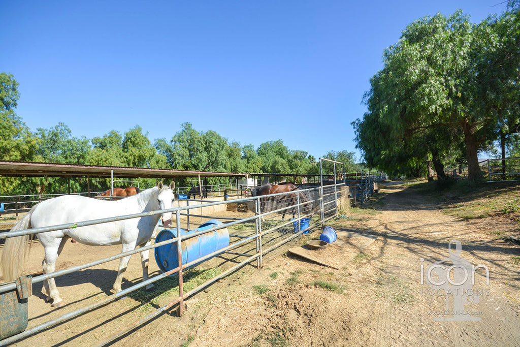 Horse Ranch - RA3167