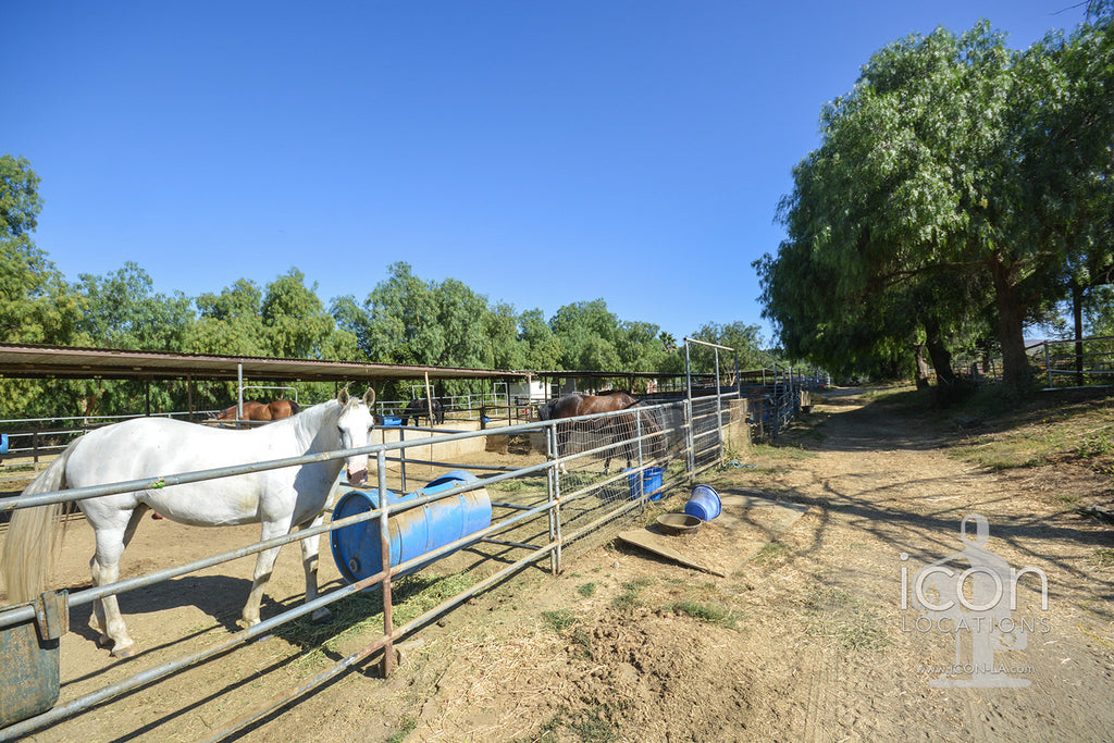 Horse Ranch - RA3167