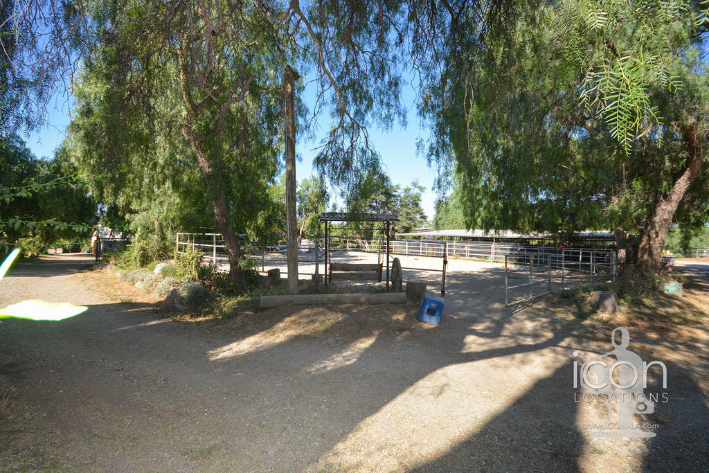 Horse Ranch - RA3167