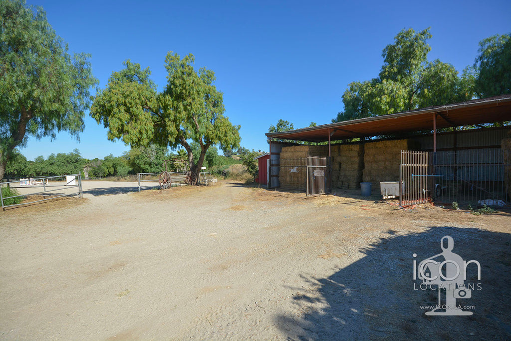 Horse Ranch - RA3167