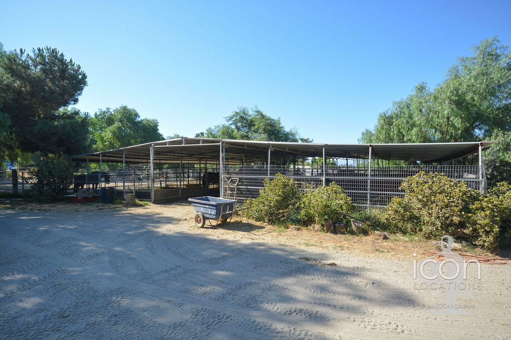 Horse Ranch - RA3167