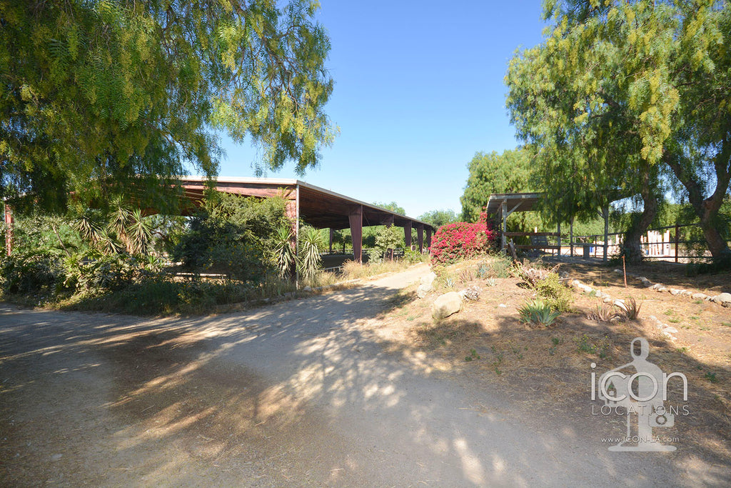 Horse Ranch - RA3167