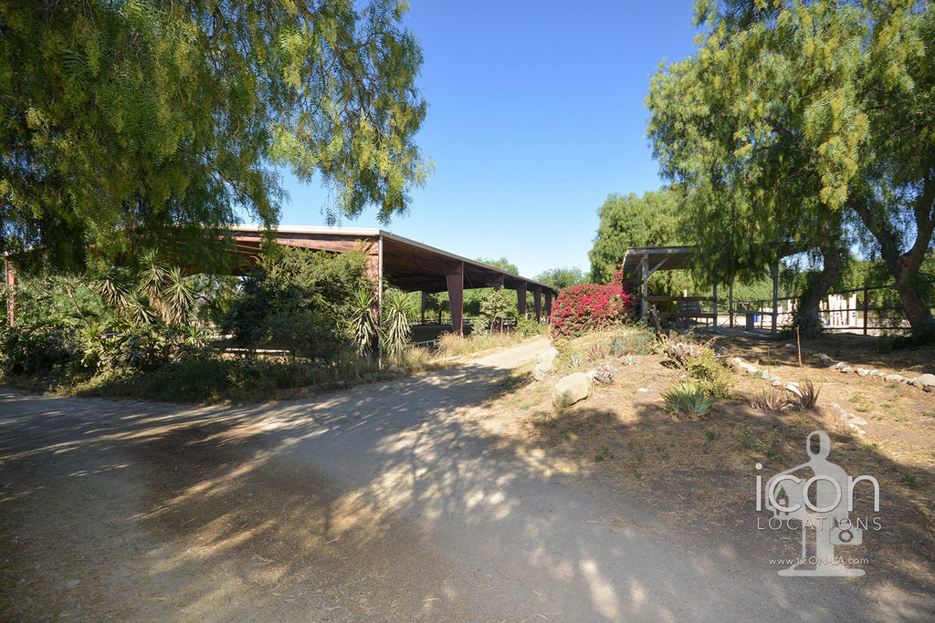 Horse Ranch - RA3167