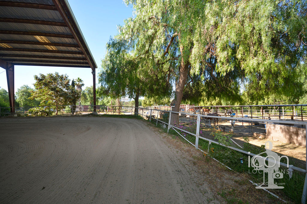 Horse Ranch - RA3167