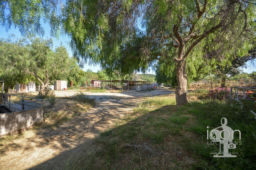 Horse Ranch - RA3167