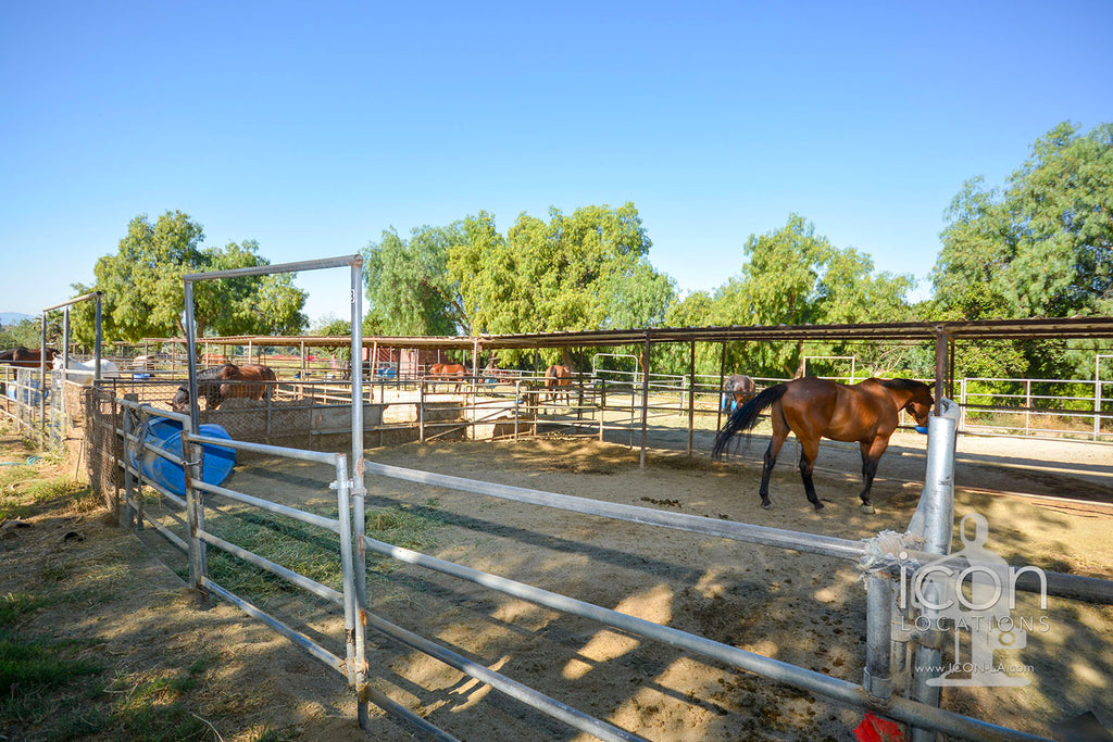 Horse Ranch - RA3167