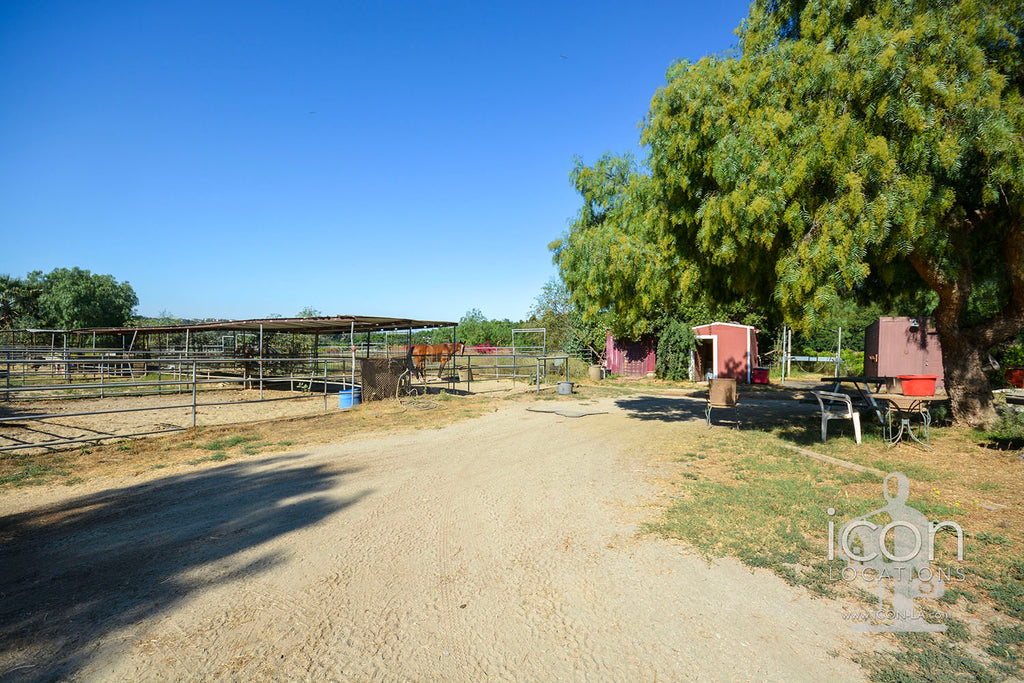 Horse Ranch - RA3167