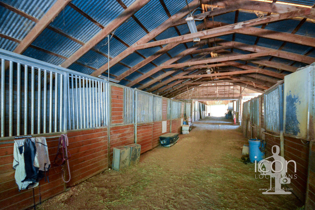 Horse Ranch - RA3167