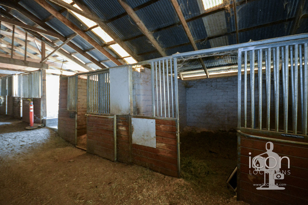 Horse Ranch - RA3167