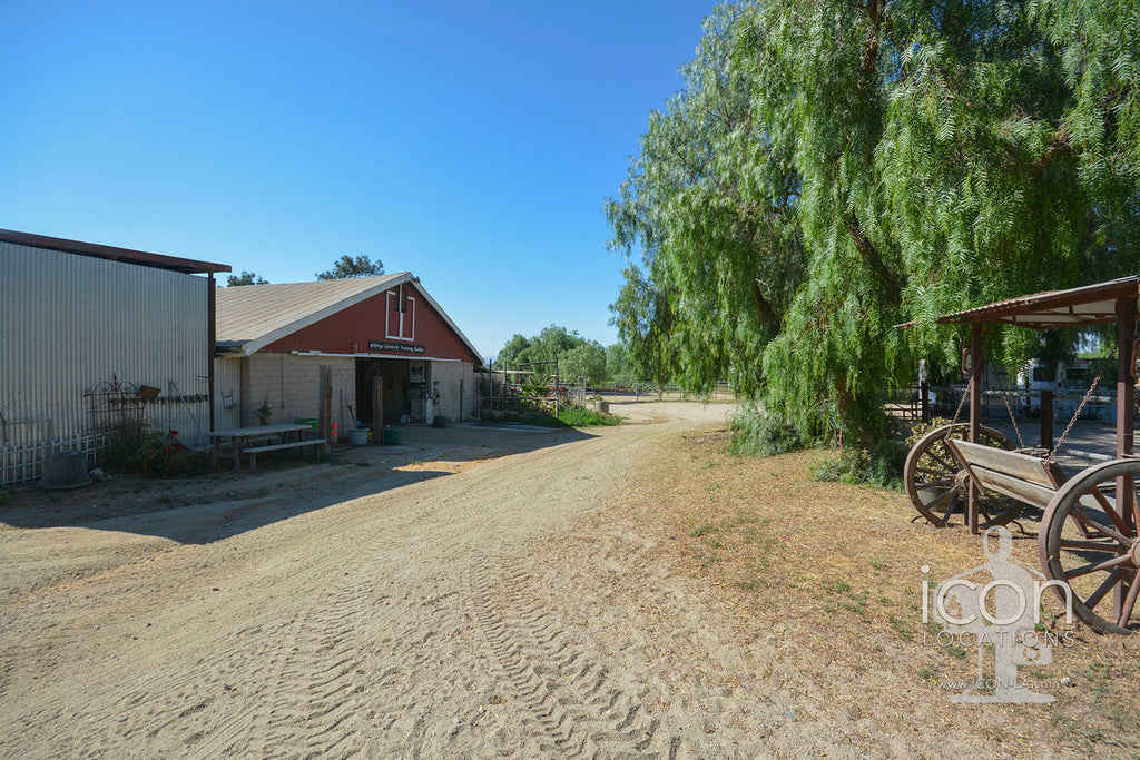 Horse Ranch - RA3167